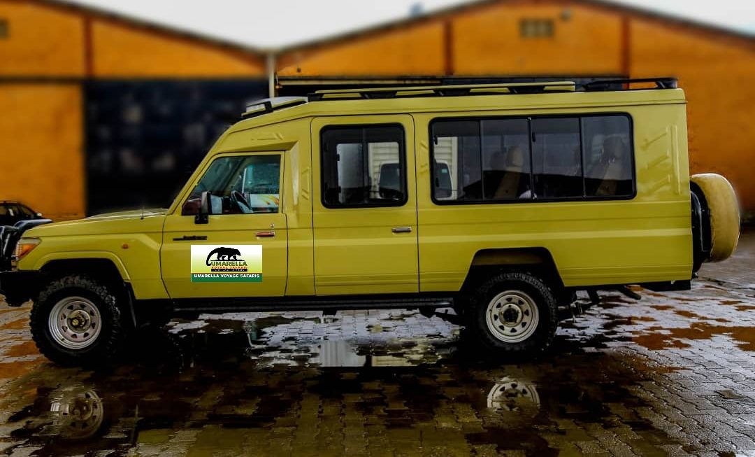 5-Day Murchison Falls and Queen Elizabeth Tour