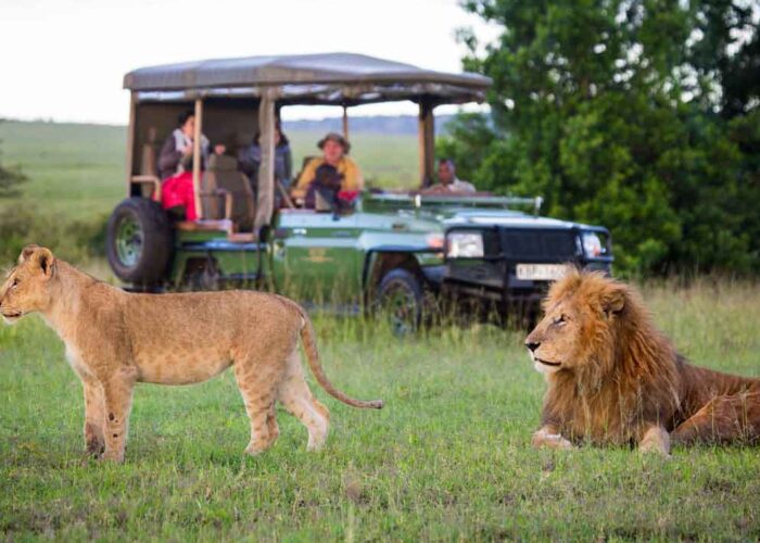 Kenya Wildlife Safari tour - 12Days