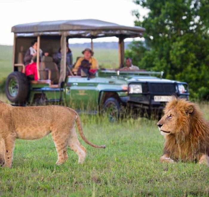 Kenya Wildlife Safari tour - 12Days