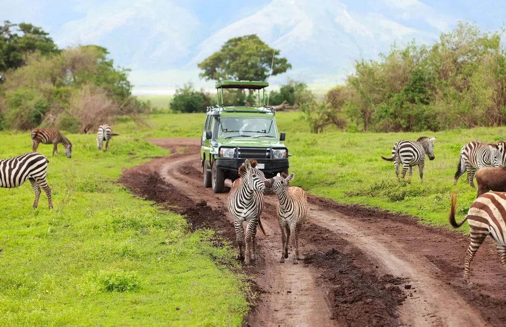 Tanzania Uganda Wildlife Tour