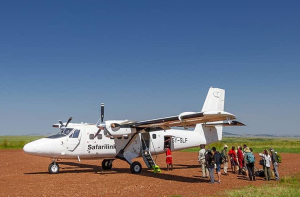 Advantages Of Sole Safari And Group Safari