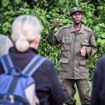 3 Days Gorilla Trekking