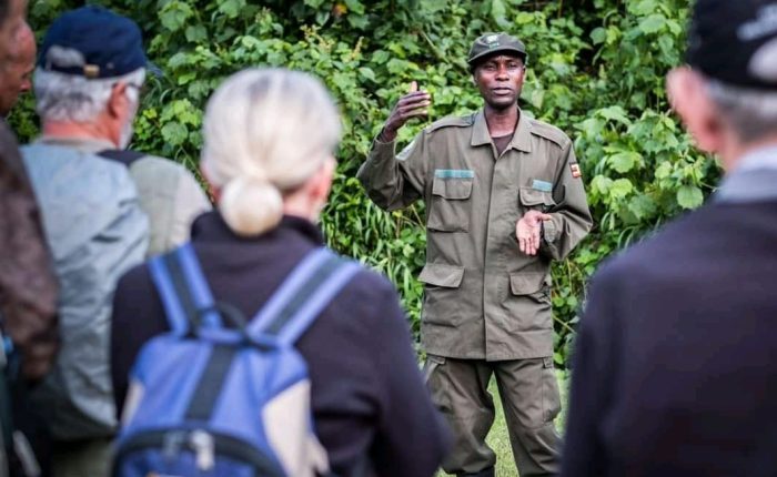 3 Days Gorilla Trekking