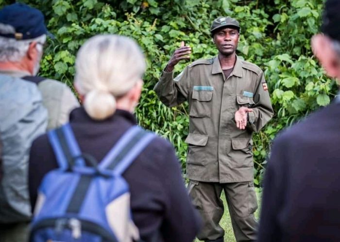 3 Days Gorilla Trekking