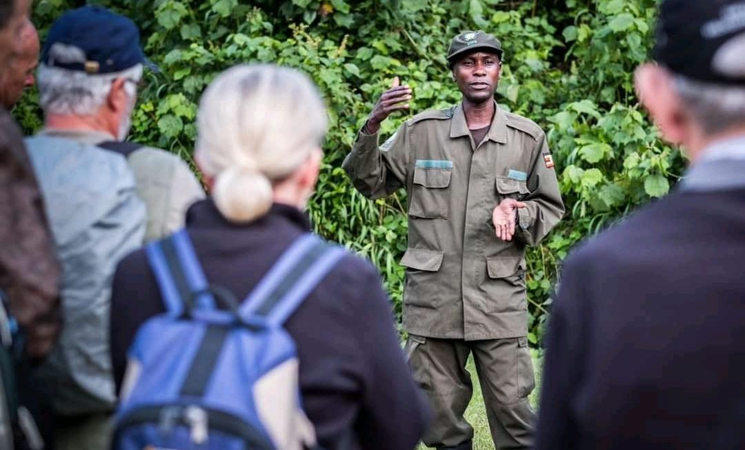 3 Days Gorilla Trekking