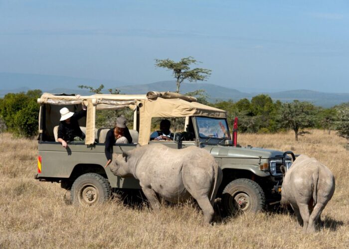 Masai Mara, Lake Nakuru And Naivasha Tour - 5 days
