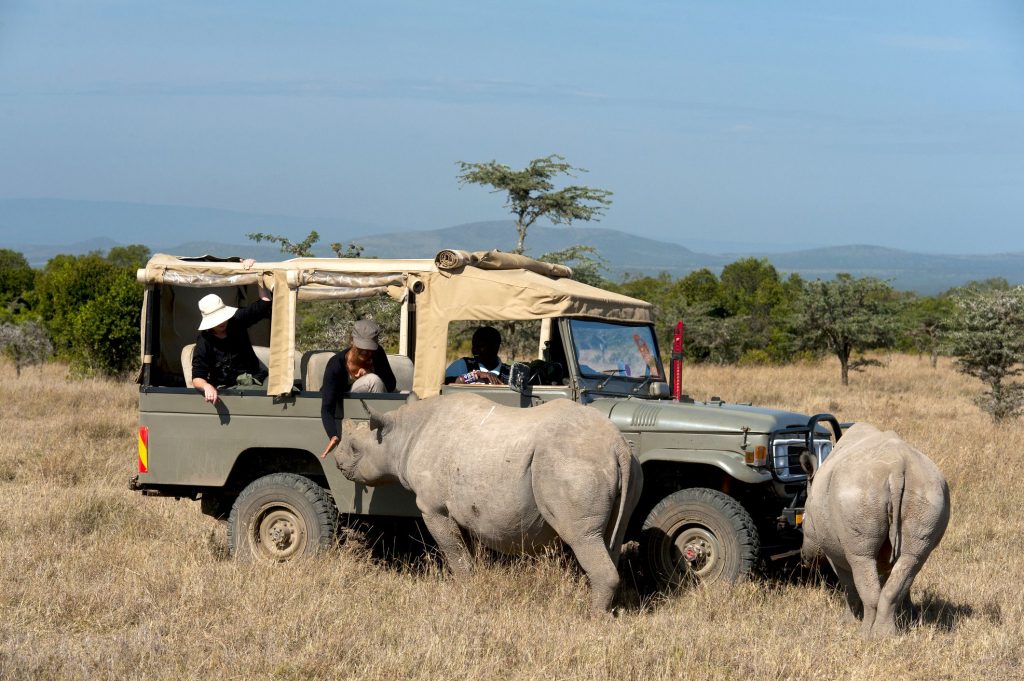 Masai Mara, Lake Nakuru And Naivasha Tour - 5 days