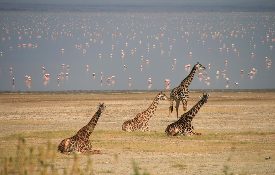 3 Day Samburu Flying Safari Tour