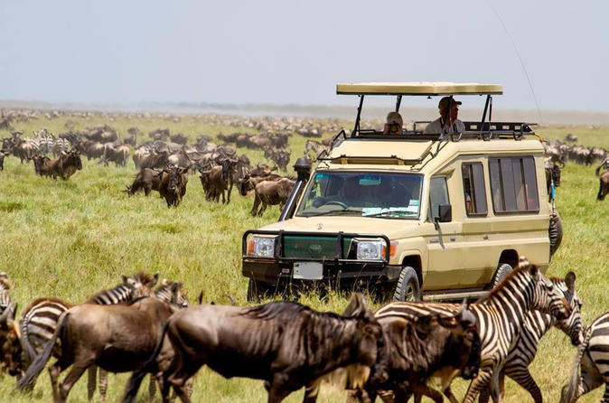 9 Day Serengeti Wildebeest Migration