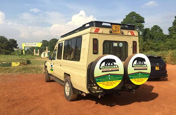 Advatages Of Early Safari Booking In Uganda With Umarella Voyage Safari
