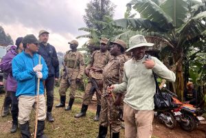Best Uganda tour Operators - 5 Day Gorilla And Game Viewing Safari