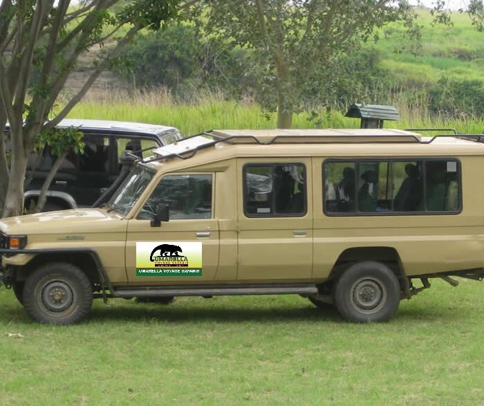 3 Days Murchison Falls National Park