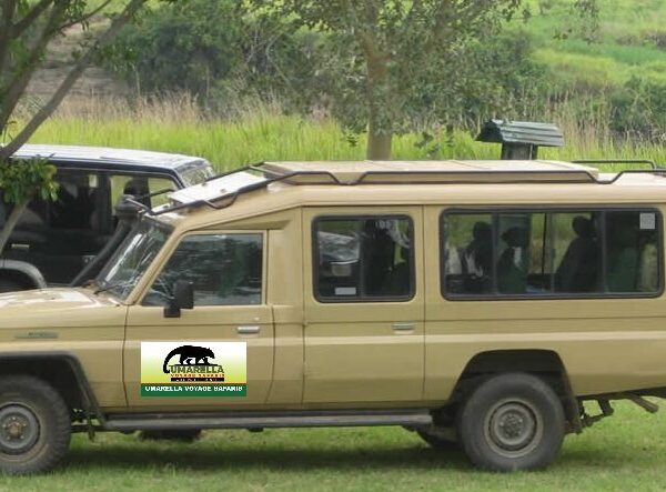 3 Days Murchison Falls National Park