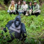 8-Day Luxury Gorilla Safari from Kigali
