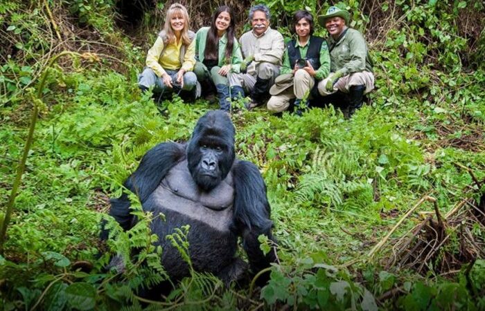 8-Day Luxury Gorilla Safari from Kigali