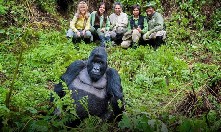 8-Day Luxury Gorilla Safari from Kigali