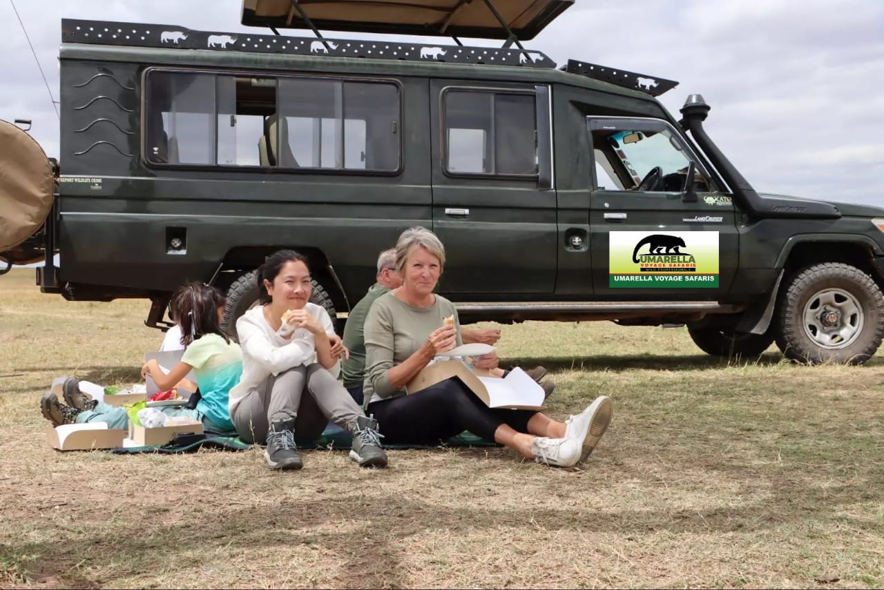 6 Day Kibale, Queen Elizabeth & Bwindi Safari