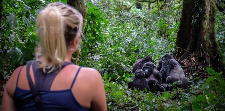 Is Uganda safe for Gorilla Trekking?