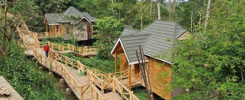 Budget Lodges in Kibale National Park