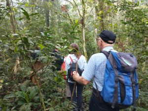 Best Uganda tour operators - 3 Day Rwanda to Uganda Gorilla Trek