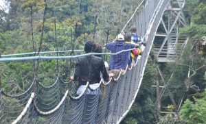 Nyungwe National Park