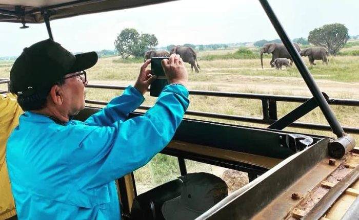6 Day Kibale, Queen Elizabeth & Bwindi Safari