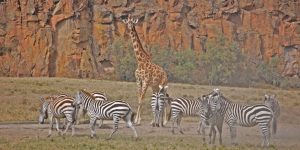 Hell’s Gate National Park