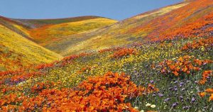 Kitulo National Park