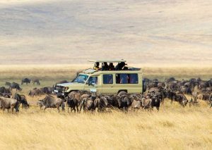 Uganda and Tanzania Safari Tour