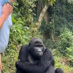 - 8 Day Uganda And Kenya Safari - 5 Day Gorilla Habituation And Chimpanzees