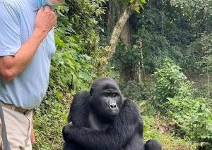 - 8 Day Uganda And Kenya Safari