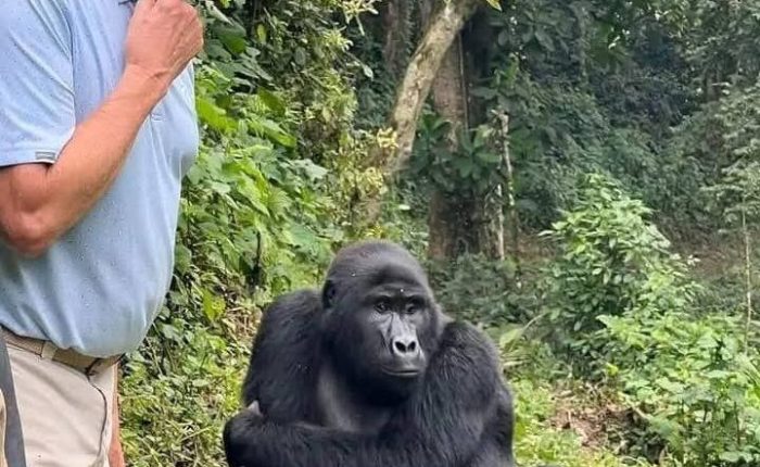 - 8 Day Uganda And Kenya Safari