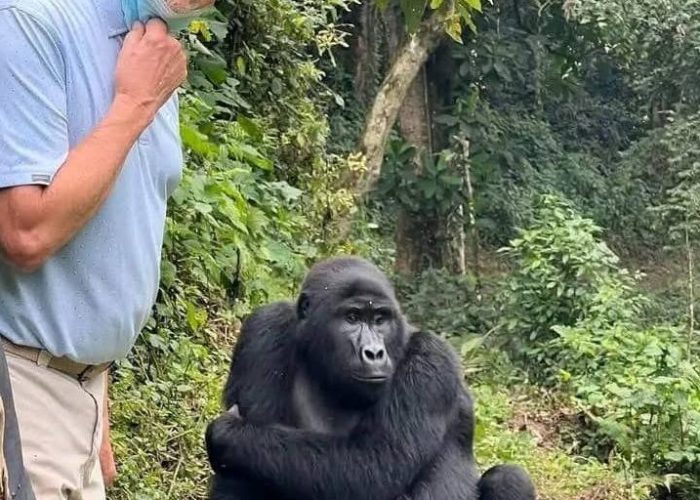 - 8 Day Uganda And Kenya Safari