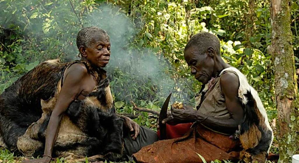 7-Day Uganda Gorilla and Chimpanzee Tour